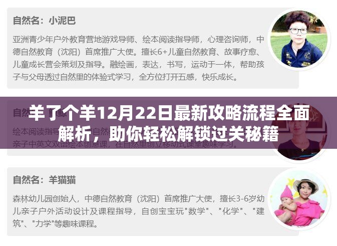 羊了个羊12月22日最新攻略流程全面解析，助你轻松解锁过关秘籍