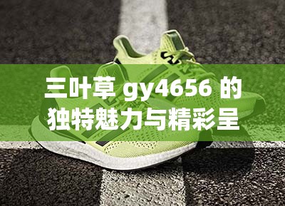 三叶草 gy4656 的独特魅力与精彩呈现