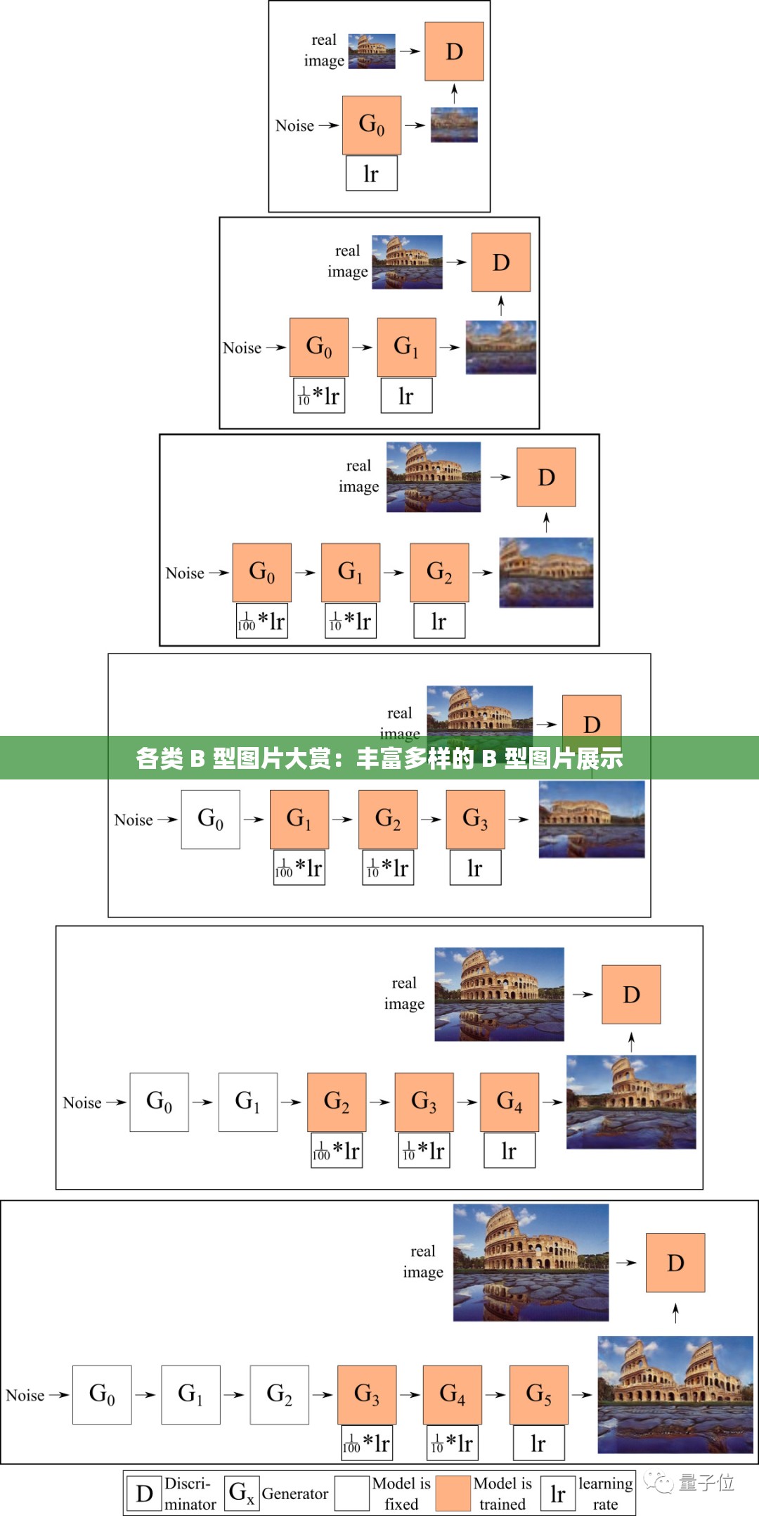 各类 B 型图片大赏：丰富多样的 B 型图片展示