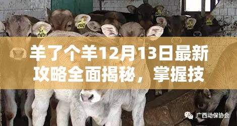 羊了个羊12月13日最新攻略全面揭秘，掌握技巧助你轻松过关无忧