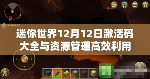 迷你世界12月12日激活码大全与资源管理高效利用策略分享