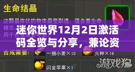 迷你世界12月2日激活码全览与分享，兼论资源管理高效利用的重要性及策略