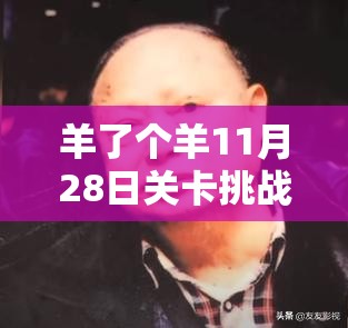 羊了个羊11月28日关卡挑战全解析，掌握通关秘籍，助你轻松解锁新成就