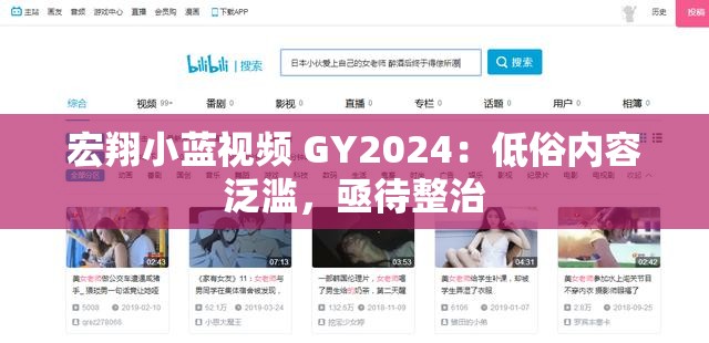 宏翔小蓝视频 GY2024：低俗内容泛滥，亟待整治