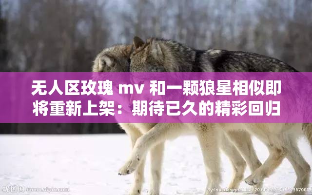 无人区玫瑰 mv 和一颗狼星相似即将重新上架：期待已久的精彩回归