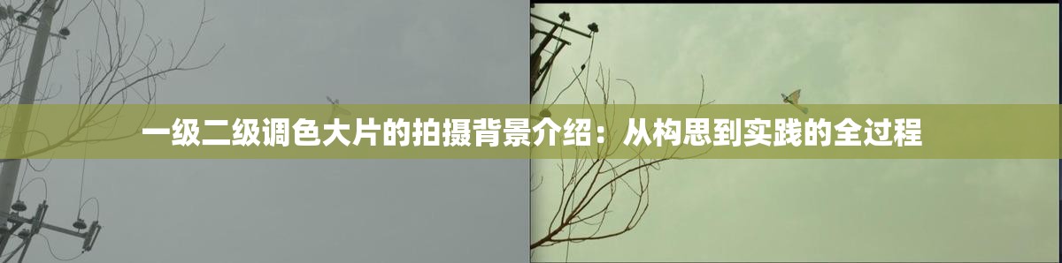 一级二级调色大片的拍摄背景介绍：从构思到实践的全过程