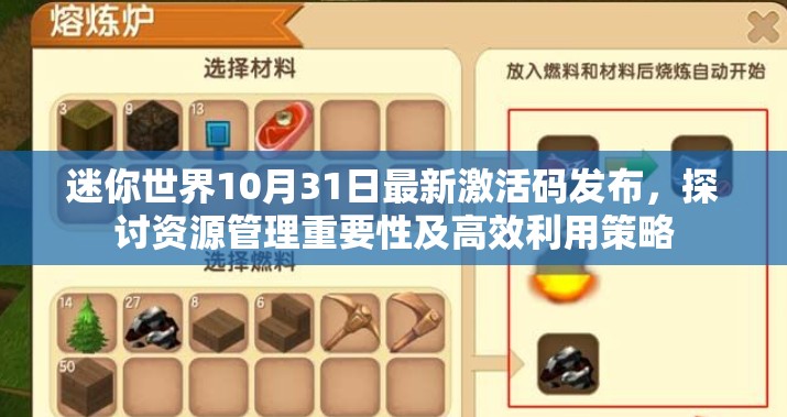 迷你世界10月31日最新激活码发布，探讨资源管理重要性及高效利用策略