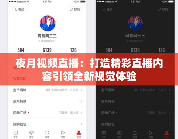 夜月视频直播：打造精彩直播内容引领全新视觉体验