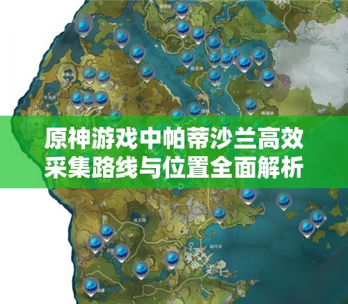 原神游戏中帕蒂沙兰高效采集路线与位置全面解析及资源管理指南