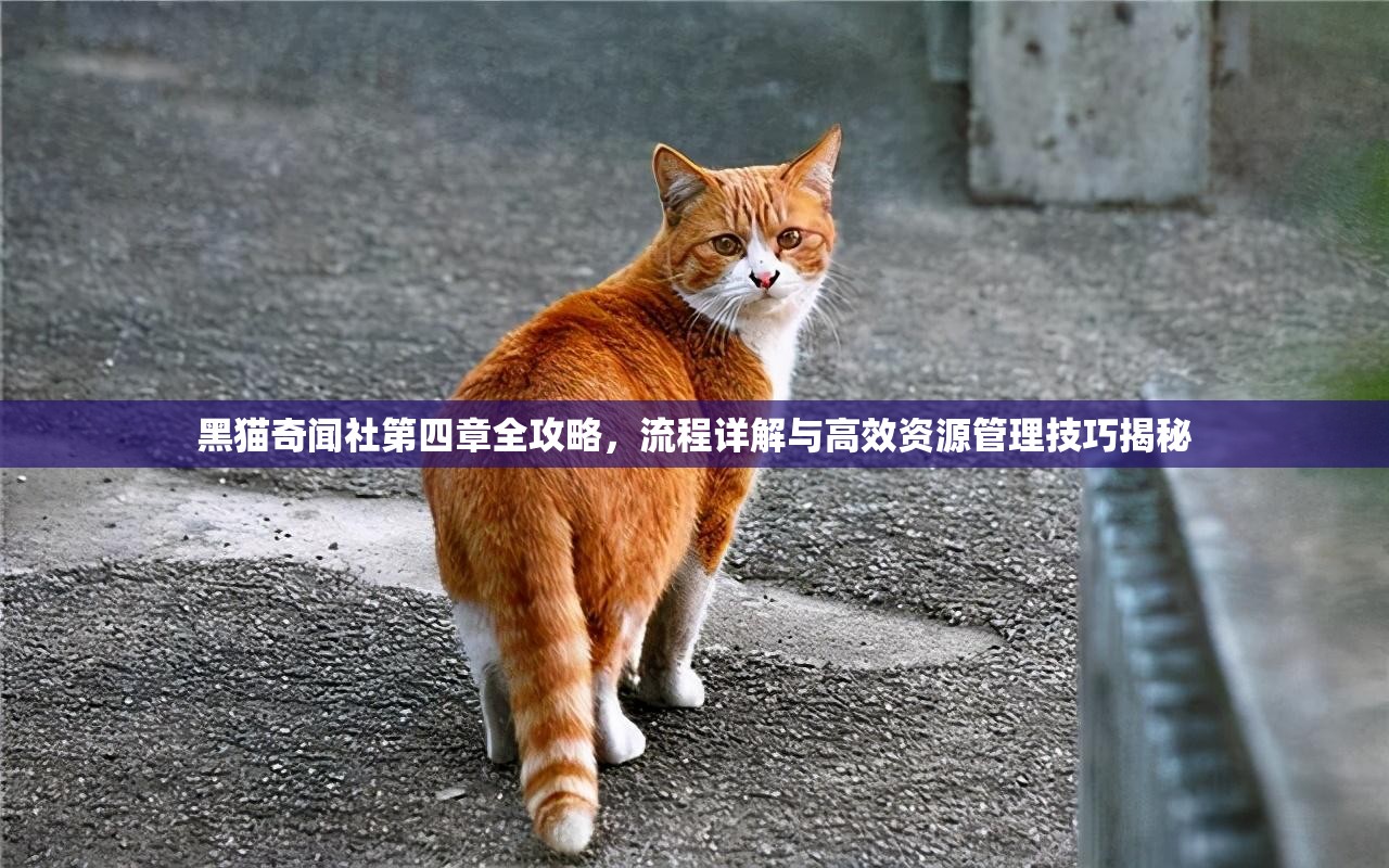 黑猫奇闻社第四章全攻略，流程详解与高效资源管理技巧揭秘