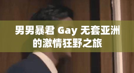 男男暴君 Gay 无套亚洲的激情狂野之旅