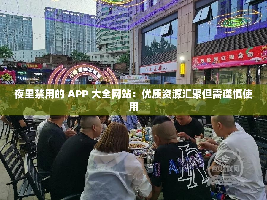 夜里禁用的 APP 大全网站：优质资源汇聚但需谨慎使用