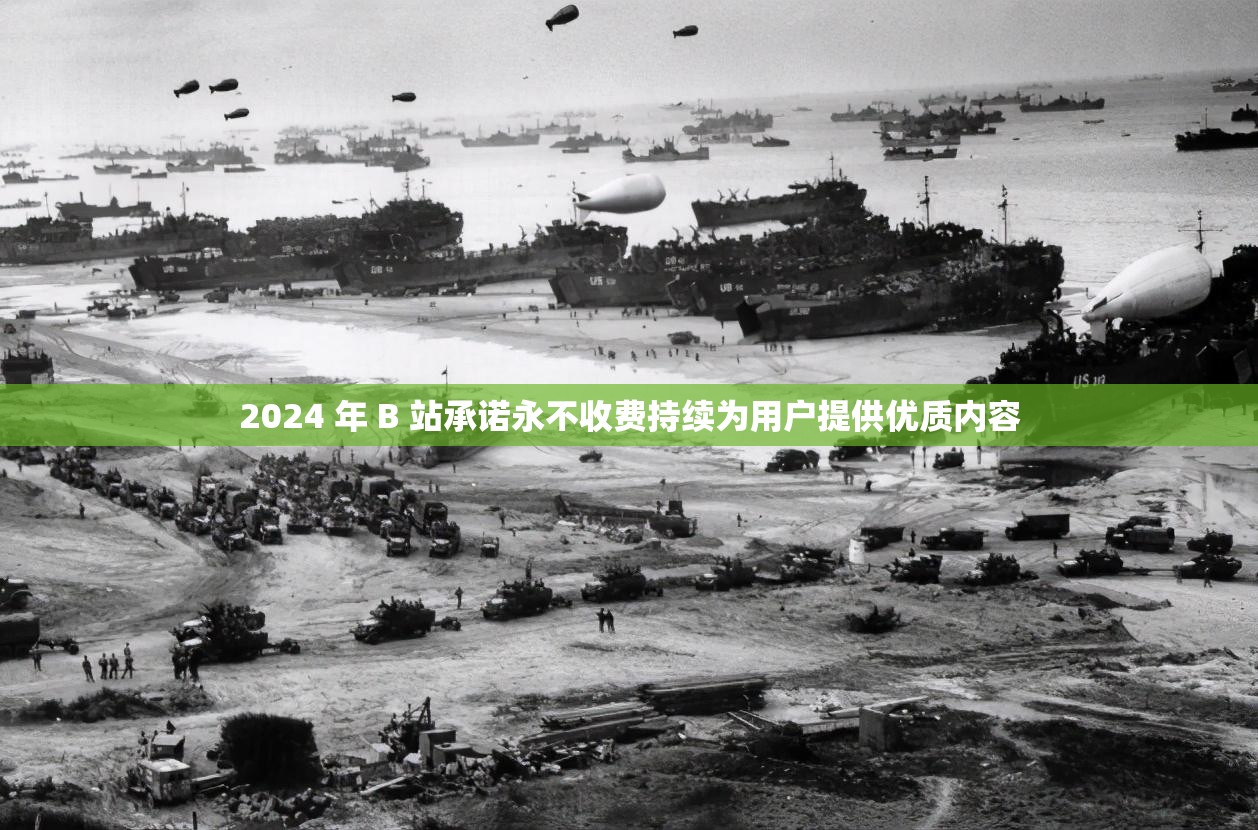 2024 年 B 站承诺永不收费持续为用户提供优质内容