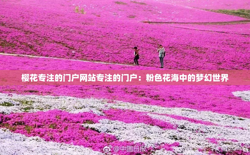 樱花专注的门户网站专注的门户：粉色花海中的梦幻世界