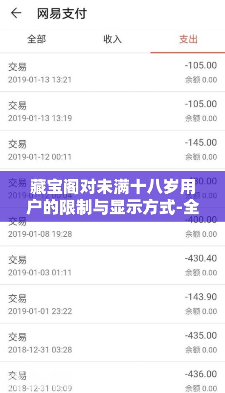 藏宝阁对未满十八岁用户的限制与显示方式-全面解读及影响分析