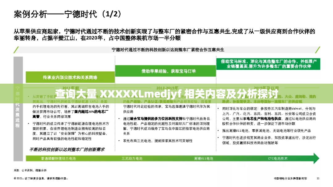 查询大量 XXXXXLmedjyf 相关内容及分析探讨