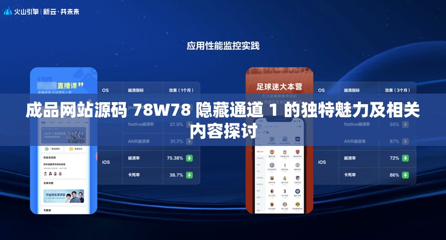 成品网站源码 78W78 隐藏通道 1 的独特魅力及相关内容探讨