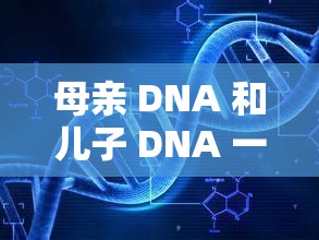 母亲 DNA 和儿子 DNA 一样不：探究亲子间遗传密码的奥秘