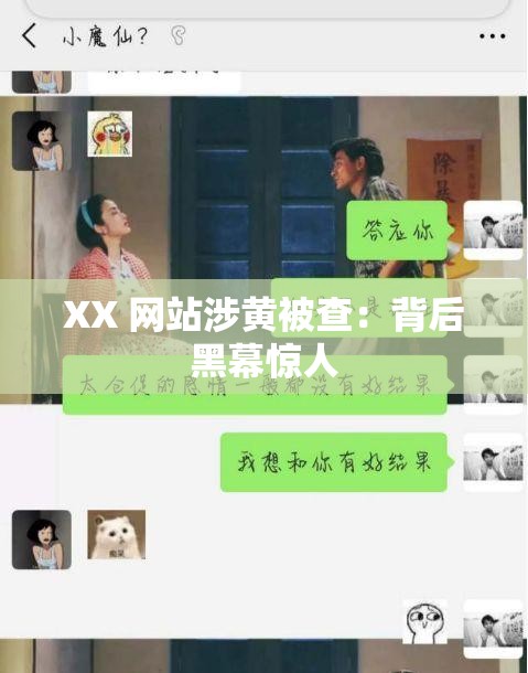 XX 网站涉黄被查：背后黑幕惊人