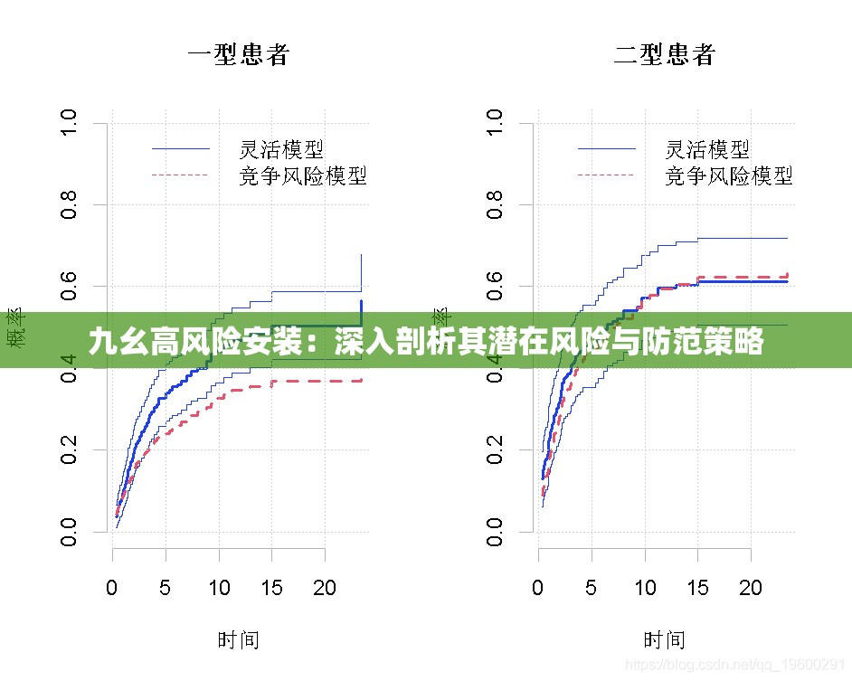 九幺高风险安装：深入剖析其潜在风险与防范策略