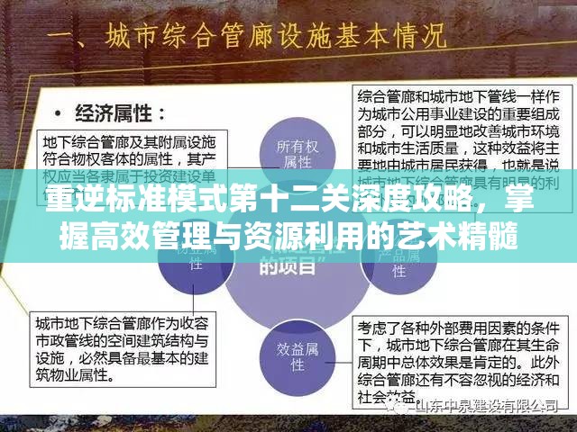 重逆标准模式第十二关深度攻略，掌握高效管理与资源利用的艺术精髓