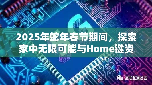 2025年蛇年春节期间，探索家中无限可能与Home键资源管理艺术