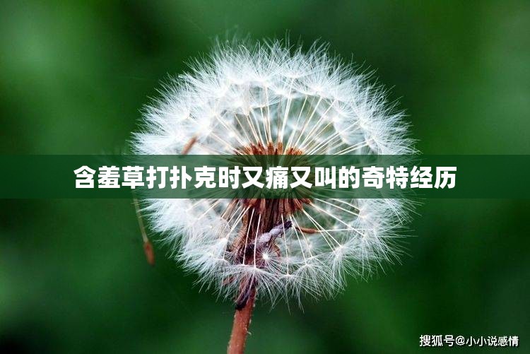 含羞草打扑克时又痛又叫的奇特经历