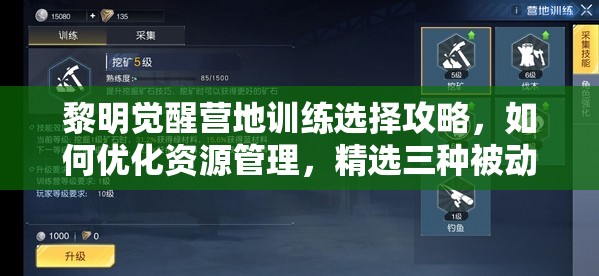 黎明觉醒营地训练选择攻略，如何优化资源管理，精选三种被动技能指南