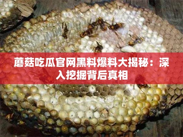 蘑菇吃瓜官网黑料爆料大揭秘：深入挖掘背后真相