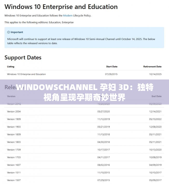 WINDOWSCHANNEL 孕妇 3D：独特视角呈现孕期奇妙世界