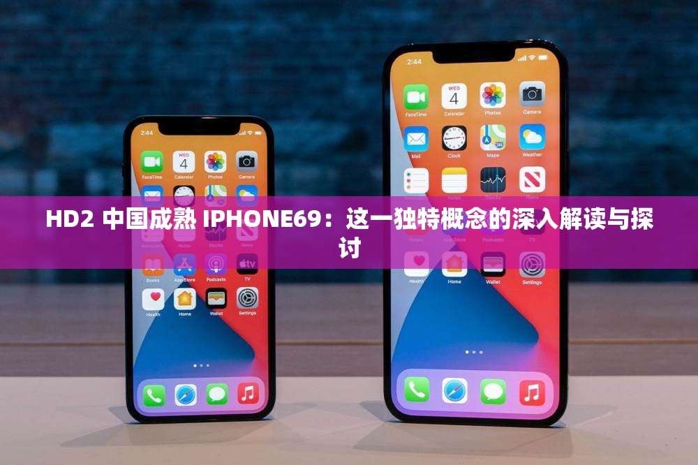 HD2 中国成熟 IPHONE69：这一独特概念的深入解读与探讨