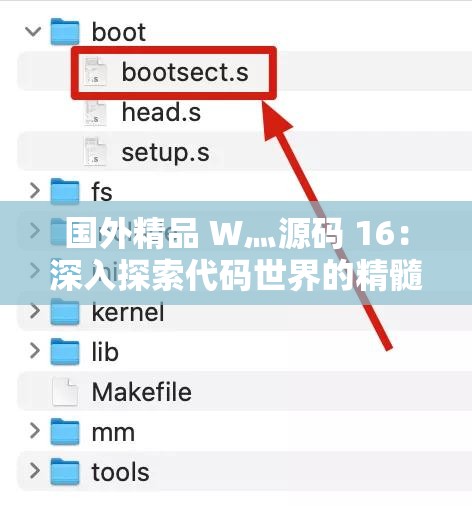 国外精品 W灬源码 16：深入探索代码世界的精髓