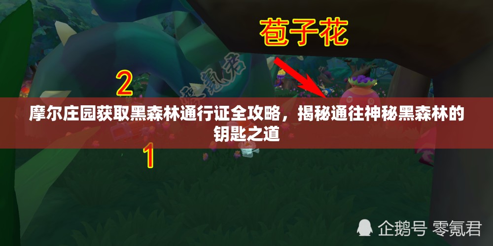 摩尔庄园获取黑森林通行证全攻略，揭秘通往神秘黑森林的钥匙之道