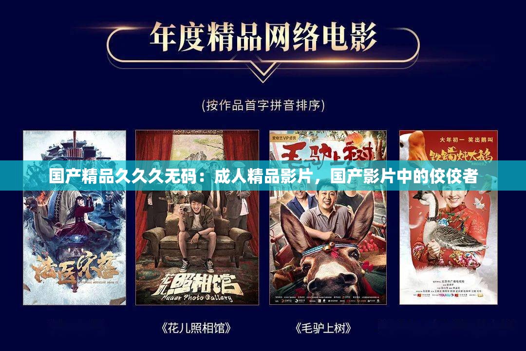 国产精品久久久无码：成人精品影片，国产影片中的佼佼者