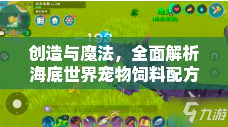 创造与魔法，全面解析海底世界宠物饲料配方及沉眠之海资源位置分布攻略