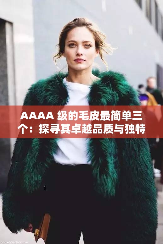 AAAA 级的毛皮最简单三个：探寻其卓越品质与独特魅力