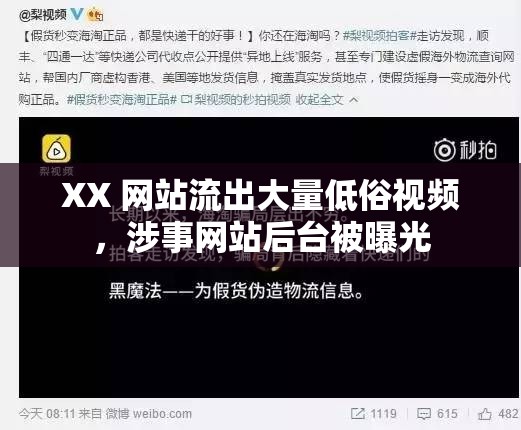 XX 网站流出大量低俗视频，涉事网站后台被曝光