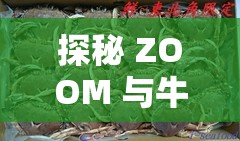 探秘 ZOOM 与牛性胶 ZOOM：它们的秘密与独特之处究竟是什么