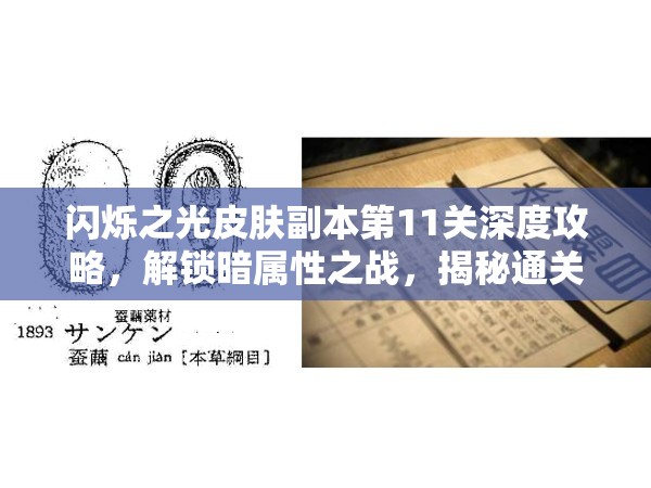 闪烁之光皮肤副本第11关深度攻略，解锁暗属性之战，揭秘通关秘籍与技巧