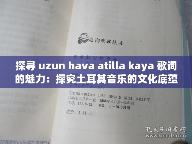 探寻 uzun hava atilla kaya 歌词的魅力：探究土耳其音乐的文化底蕴