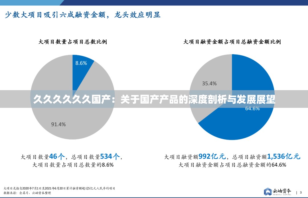 久久久久久久国产：关于国产产品的深度剖析与发展展望