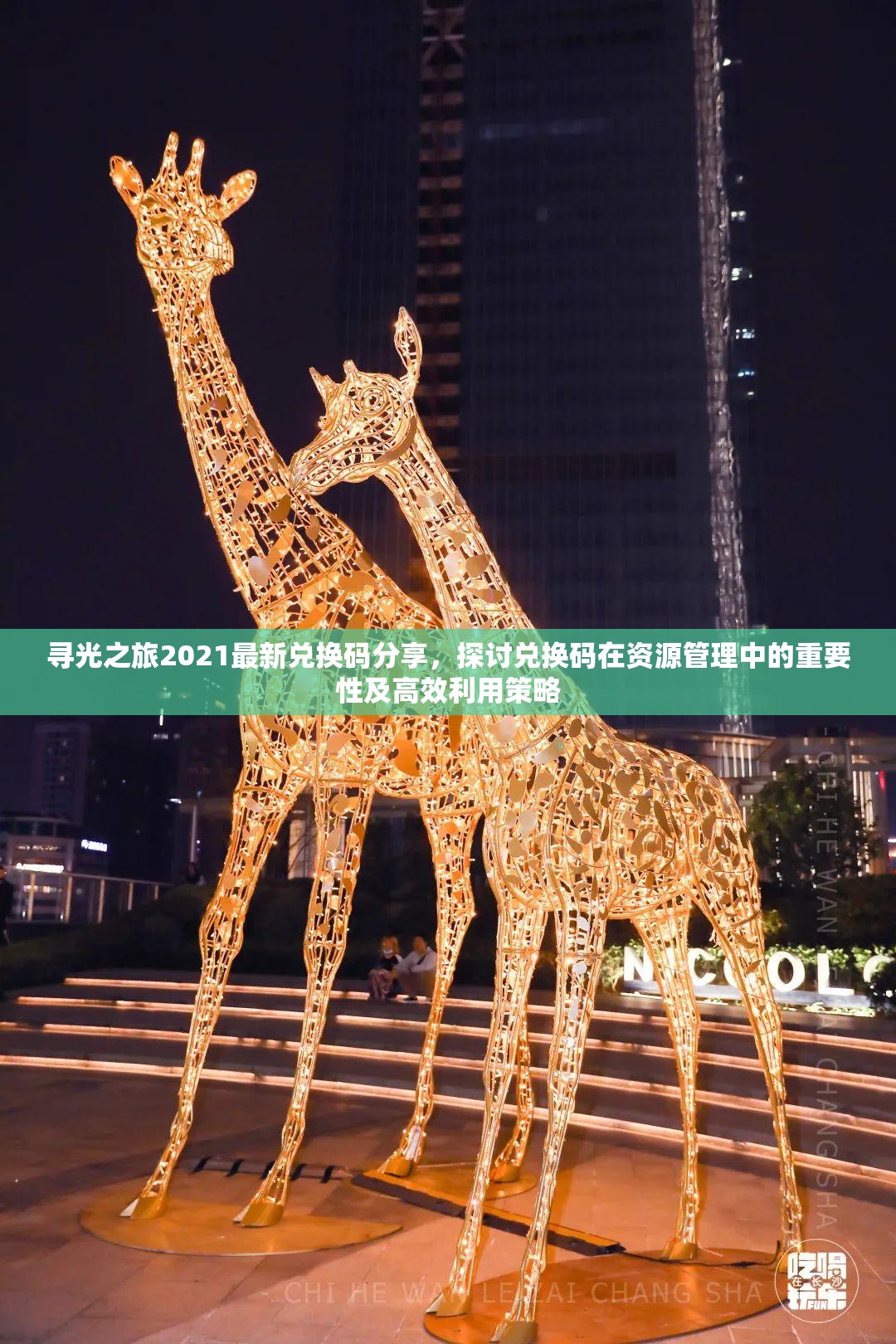 寻光之旅2021最新兑换码分享，探讨兑换码在资源管理中的重要性及高效利用策略