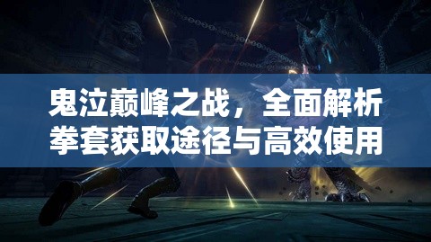 鬼泣巅峰之战，全面解析拳套获取途径与高效使用策略