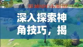 深入探索神角技巧，揭秘七位王者坟墓的奥秘与高效资源管理策略