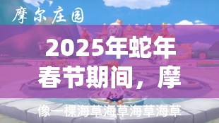 2025年蛇年春节期间，摩尔庄园甜蜜烦恼，为琦琦挑选完美礼物指南