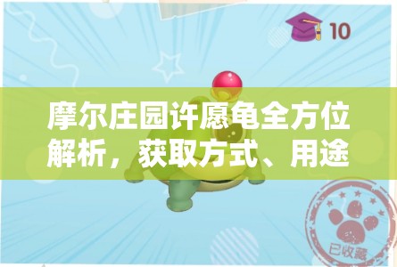 摩尔庄园许愿龟全方位解析，获取方式、用途及提高许愿成功率技巧