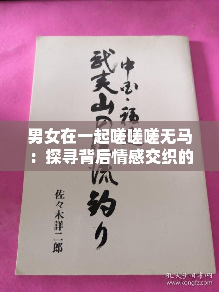 男女在一起嗟嗟嗟无马：探寻背后情感交织的奥秘