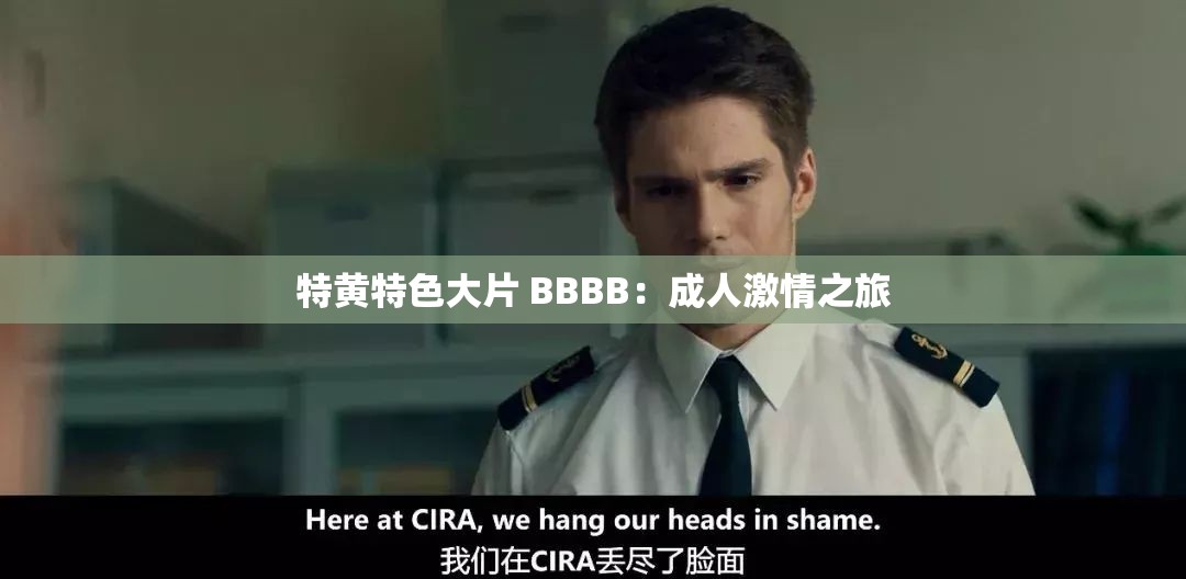 特黄特色大片 BBBB：成人激情之旅