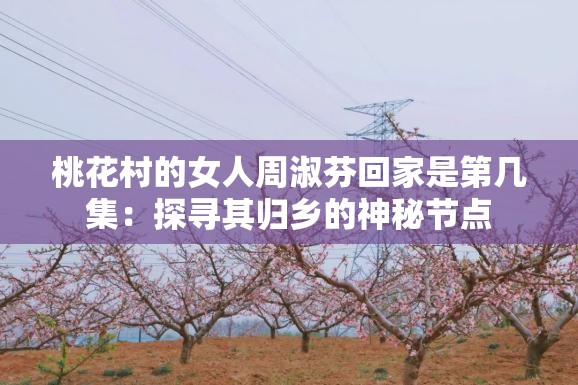 桃花村的女人周淑芬回家是第几集：探寻其归乡的神秘节点