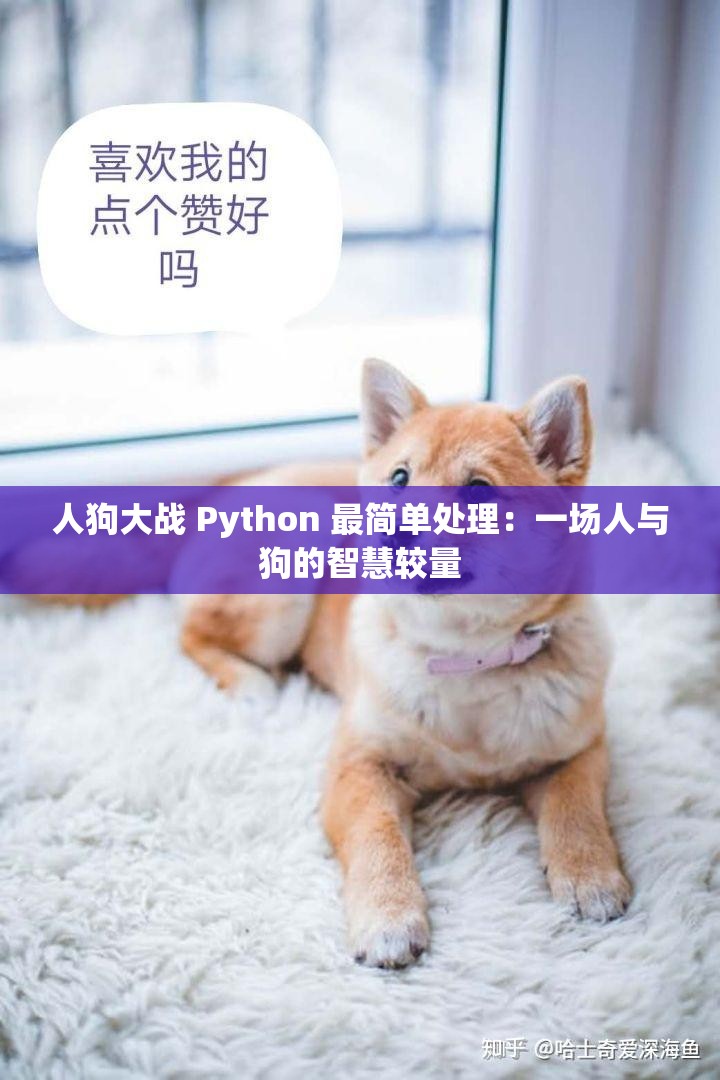 人狗大战 Python 最简单处理：一场人与狗的智慧较量